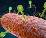 Researchers review bacteriophage treatment