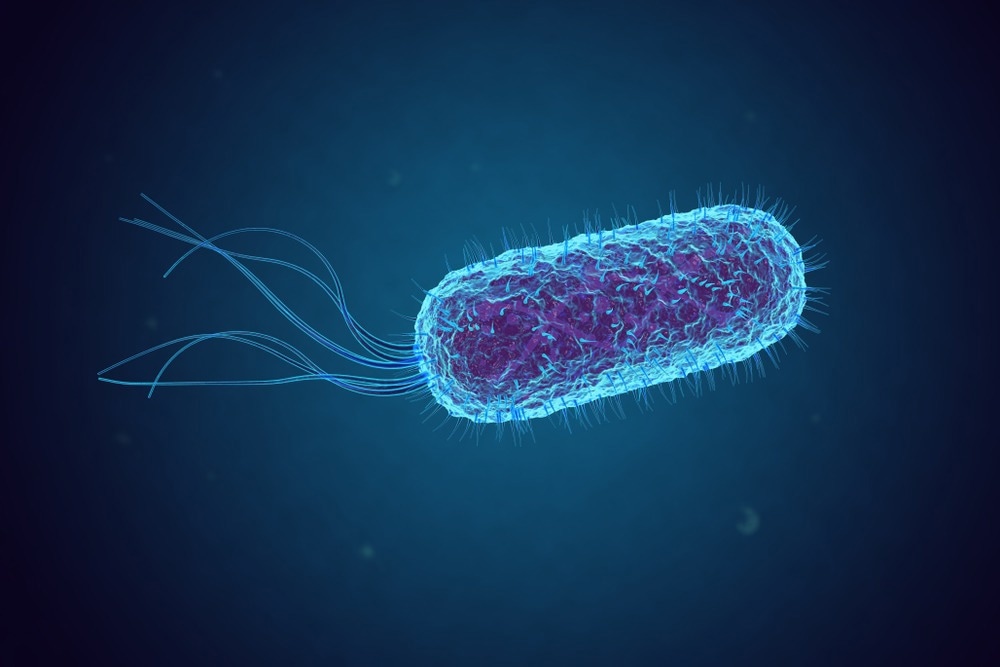 Study: Phage production is blocked in the adherent invasive Escherichia coli LF82 upon macrophage infection. Image Credit: fusebulb / Shutterstock.com