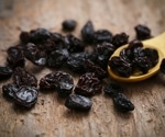 What is the effect of supplementing raisins on improving cognitive performance, cardiovascular risk factors, and markers of inflammation?