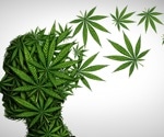 Study finds alterations in brain connectivity among young adult cannabis users