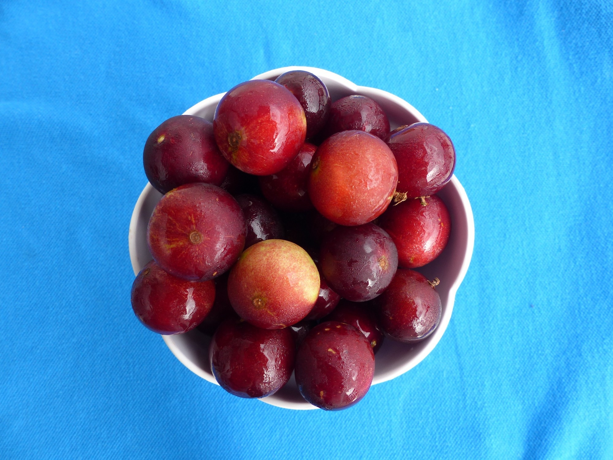 Study: Higher intake of dietary flavonols, specifically dietary quercetin, is associated with lower odds of frailty onset over 12-years of follow-up among adults in the Framingham Heart Study. Image Credit: guentermanaus / Shutterstock