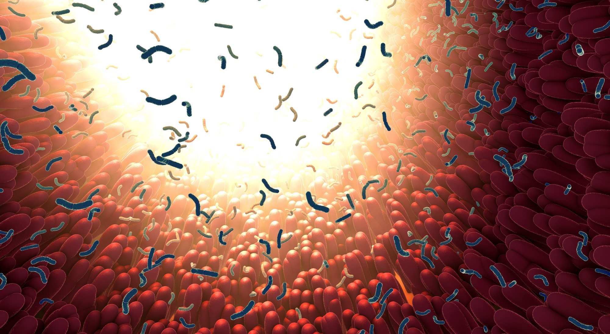 Study: Growing old together: What we know about the influence of diet and exercise on the aging host