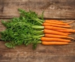 Supercharge your health with carotenoids