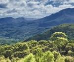 Australian rainforest remedies: Scientists explore bioactive plant compounds as potential anti-neuroinflammatory agents
