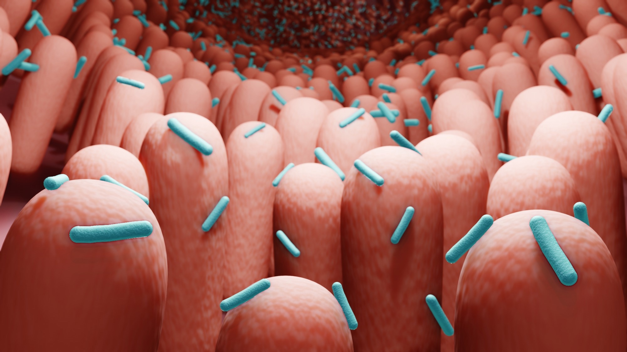 Study: Bioactive glycans in a microbiome-directed food for malnourished children. Image Credit: ART-ur/Shutterstock.com