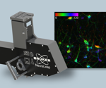Bruker’s New NeuraLeap Delivers Unprecedented Imaging Speed Across Optical Planes