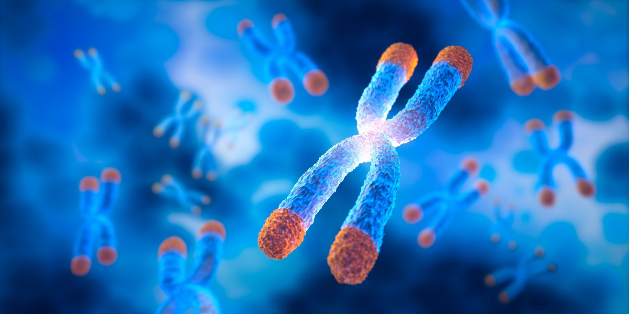 Study: Leucocyte telomere length, brain volume and risk of dementia: a prospective cohort study. Image Credit: peterschreiber.media / Shutterstock.com