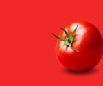 Supercharged tomatoes: Scientists engineer fruits packed with amino acids and flavonoids