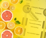 Citrus compounds show zesty promise in type 2 diabetes management