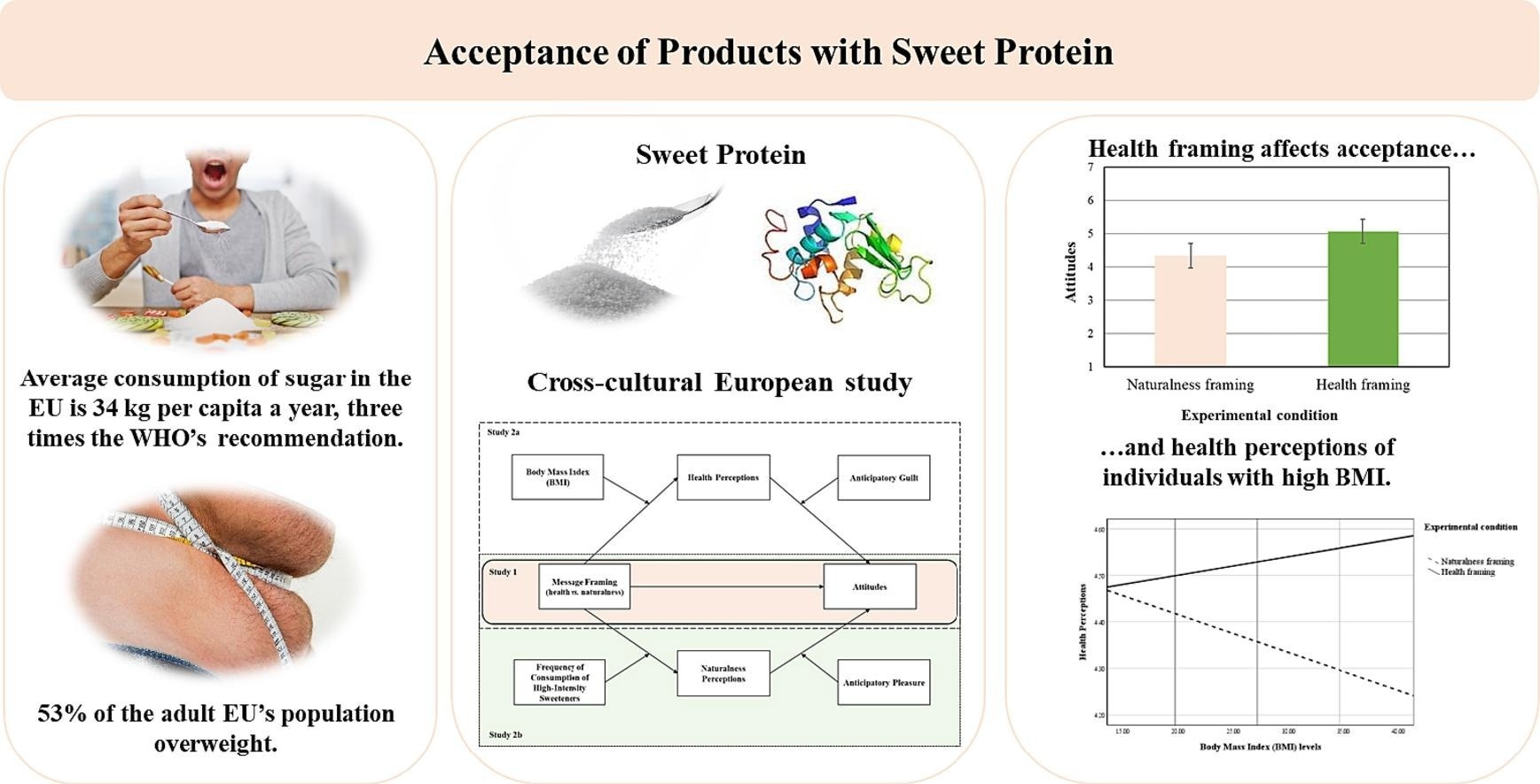 Study: Beyond sugar: Exploring the influence of health and naturalness framing on attitudes towards products with sweet proteins in Europe