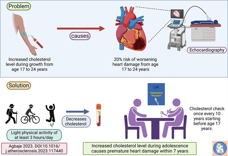 Increased cholesterol levels in adolescence linked to early heart damage