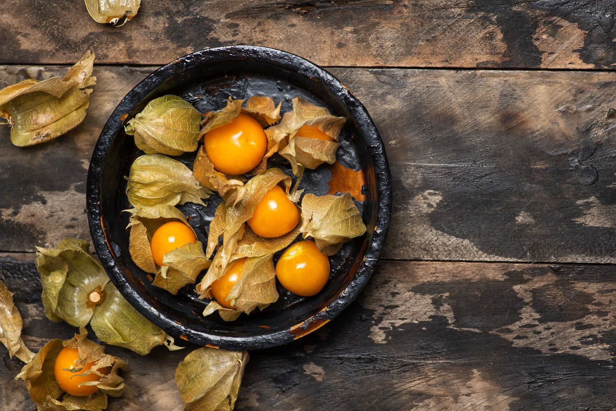 Study: Daily Consumption of Golden Berry (Physalis peruviana) Has Been Shown to Halt the Progression of Insulin Resistance and Obesity in Obese Rats with Metabolic Syndrome. Image Credit: Creative Family/Shutterstock.com