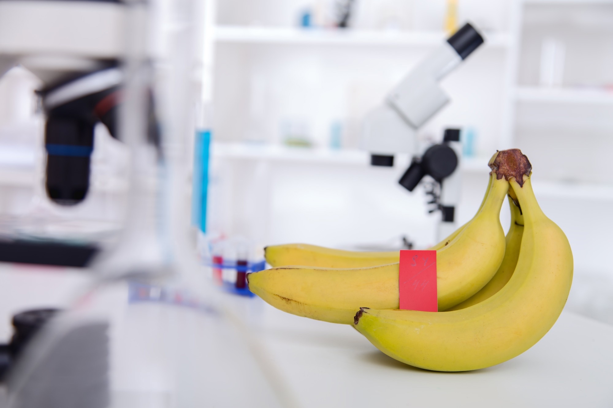 Study: Banana Lectin: A Novel Immunomodulatory Strategy for Mitigating Inflammatory Bowel Disease. Image Credit: Alex_Traksel/Shutterstock.com