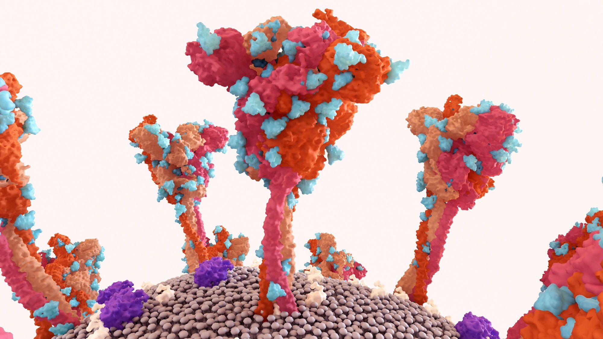 Study: The relationship between Coronavirus Disease-19 (COVID-19) and ischemic priapism: a case-control study. Image Credit: Design_Cells / Shutterstock