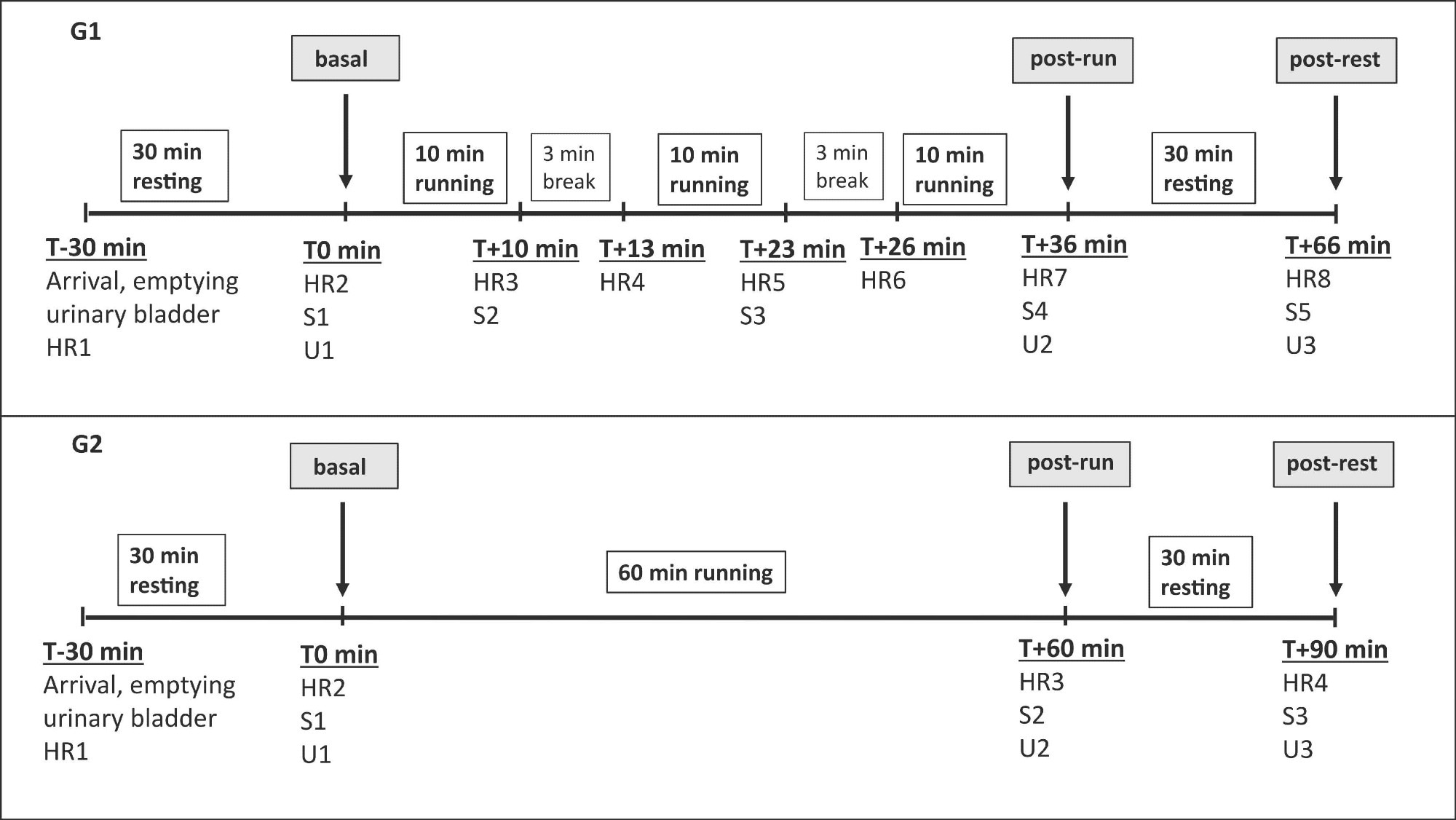 Experimental timeline for group 1 (G1, upper panel) and group 2 (G2, lower panel). Pulse rate (HR), saliva samples (S) and urine samples (U) were taken as indicated.