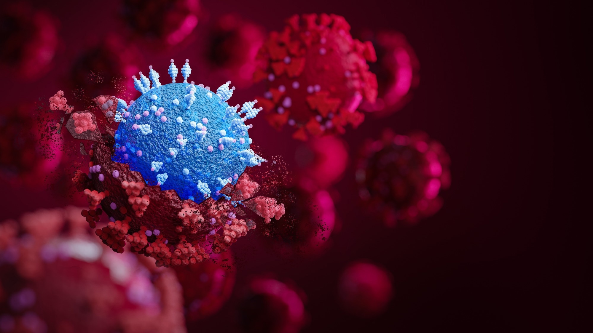 Study: Virological characteristics of the SARS-CoV-2 KP.3.1.1 variant. Image Credit: Fit Ztudio / Shutterstock
