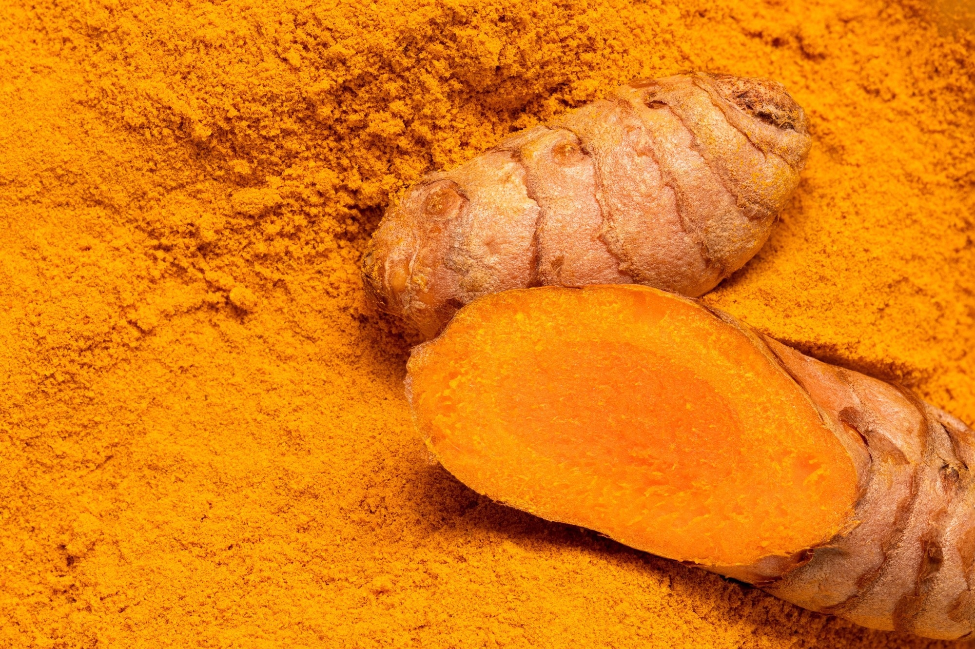 Study: Curcumin Reduces Depression in Obese Patients with Type 2 Diabetes: A Randomized Controlled Trial. Image Credit: Moving Moment/Shutterstock.com