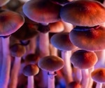 Psychedelics: A new hope for substance abuse treatment