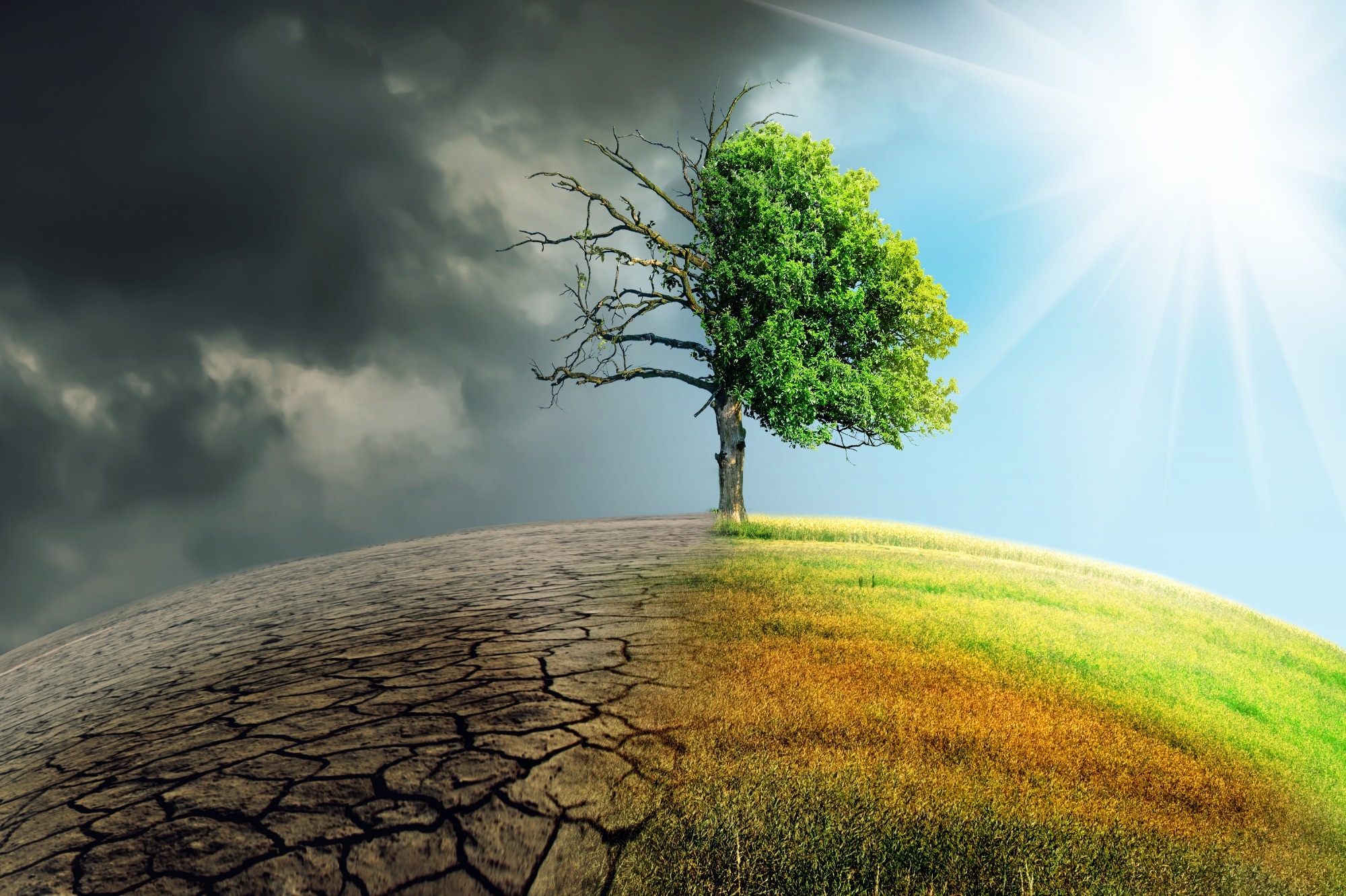 Study: Expert judgement reveals current and emerging UK climate-mortality burden. Image Credit: Sepp photography/Shutterstock.com