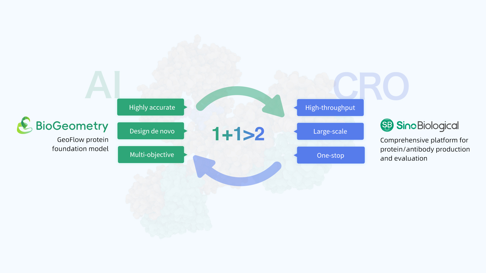 Image Credit: Sino Biological