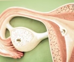 Scientists decode ovarian aging with groundbreaking molecular atlas