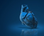 RNA enzyme found key to heart cell energy shift after birth