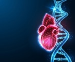 Depression genes amplify women's heart disease risk