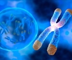 Histone markers predict human age with accuracy comparable to DNA methylation clocks