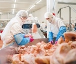 Mild avian flu cases in US spark safety warnings for poultry and dairy sectors