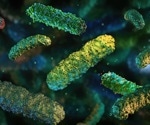Scientists unveil global patterns in early-life gut microbial evolution