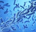 Microbes in your gut could determine cancer treatment outcomes