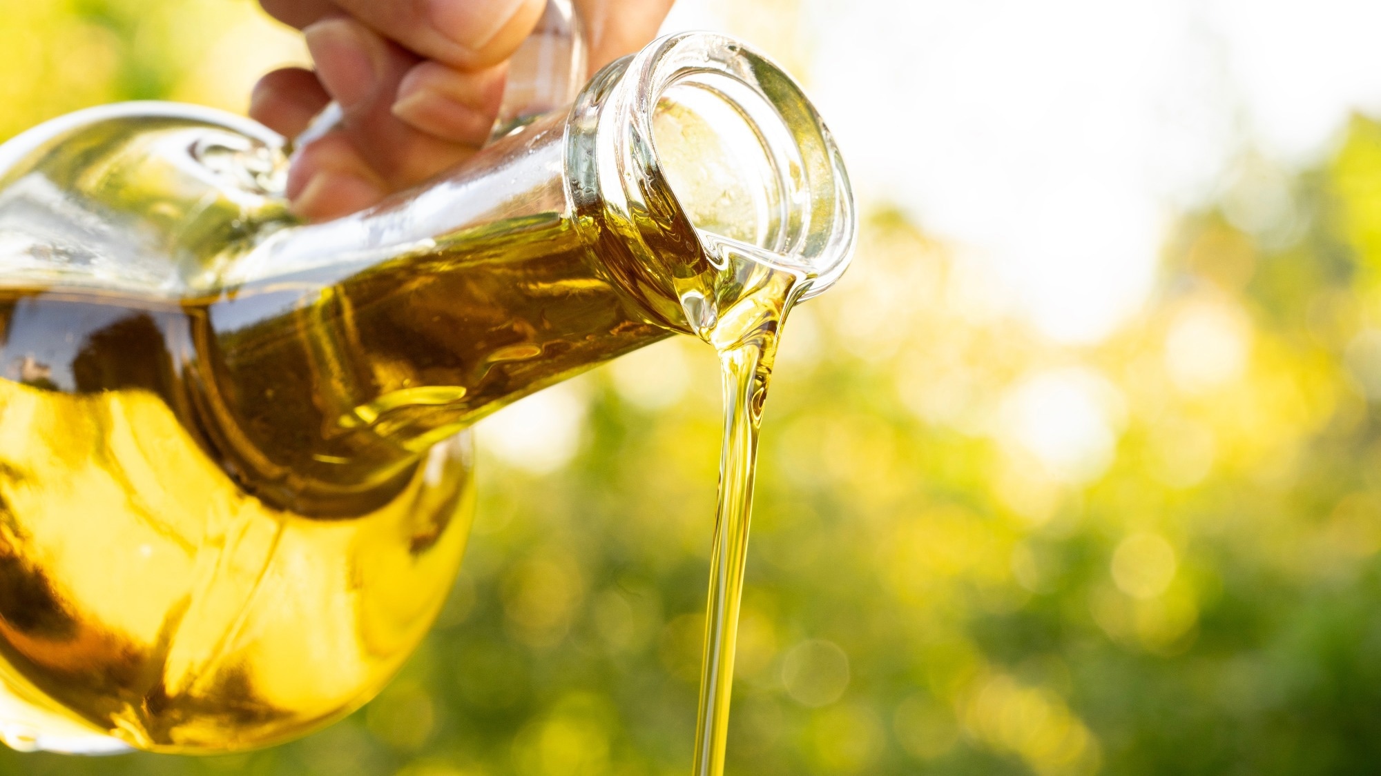 Review: Impact of Olive Oil Components on the Expression of Genes Related to Type 2 Diabetes Mellitus. ​​​​​​​Image Credit: sebra / Shutterstock
