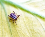 Tick-borne encephalitis emerges in Britain: Experts urge vigilance