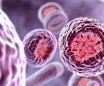 Targeted polymersomes boost methotrexate efficacy for aggressive choriocarcinoma treatment