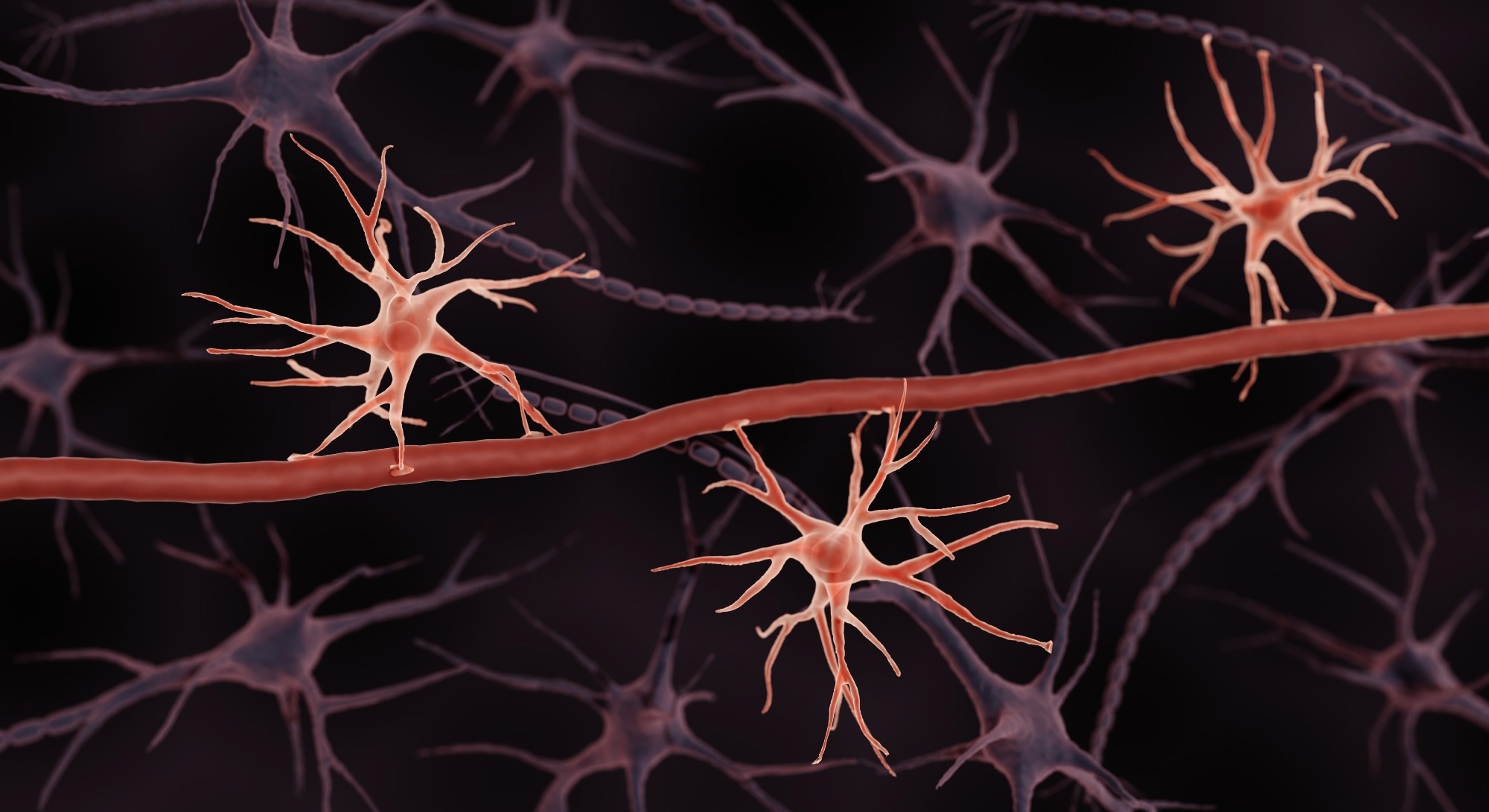 Study: Glycocalyx dysregulation impairs blood–brain barrier in ageing and disease. Image Credit: ART-ur / Shutterstock