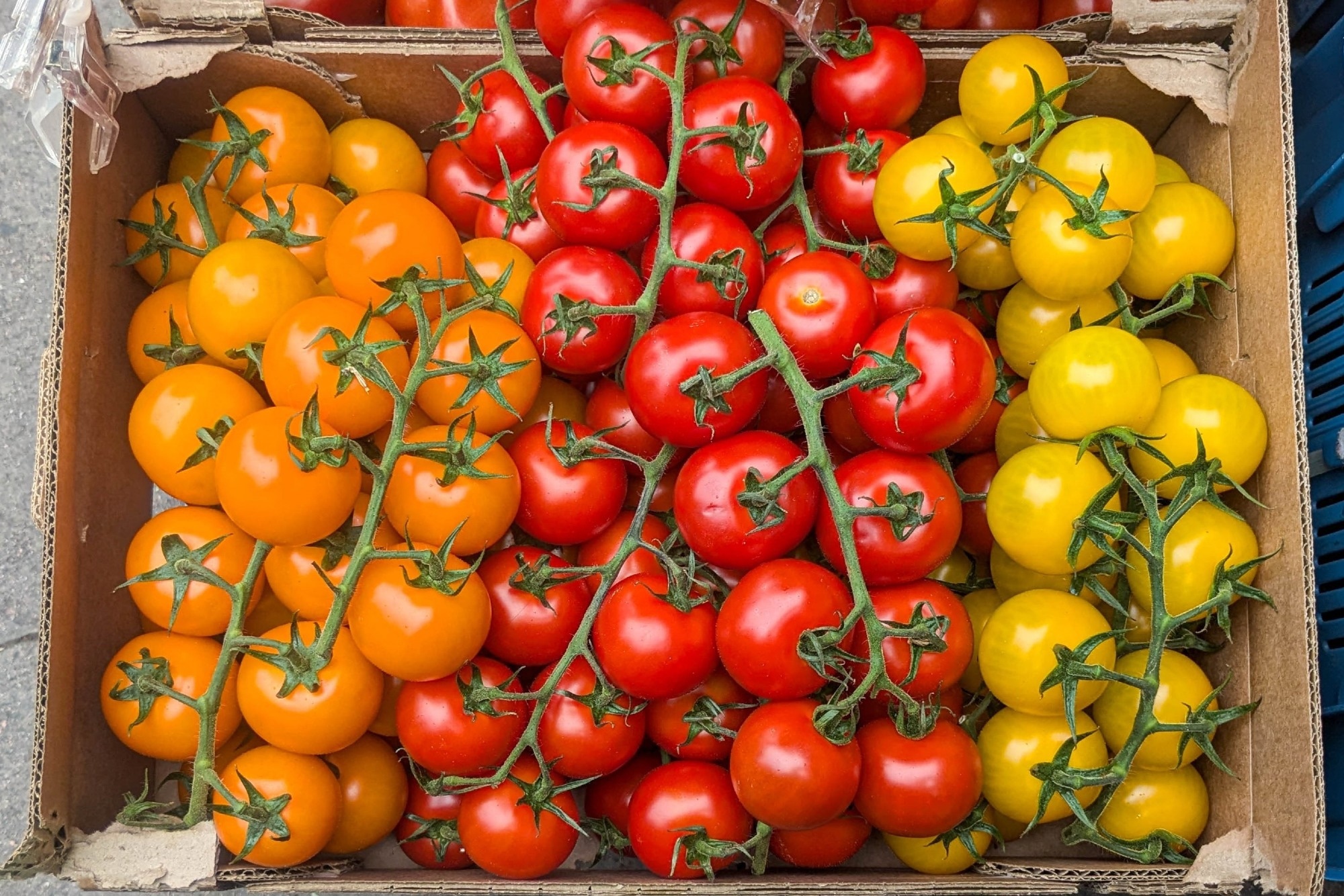 Review: Dietary intake of tomato and lycopene, blood levels of lycopene, and risk of total and specific cancers in adults: a systematic review and dose–response meta-analysis of prospective cohort studies. Image Credit: M.Hart / Shutterstock