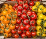 Tomatoes and lycopene: Can eating more reduce your cancer risk?
