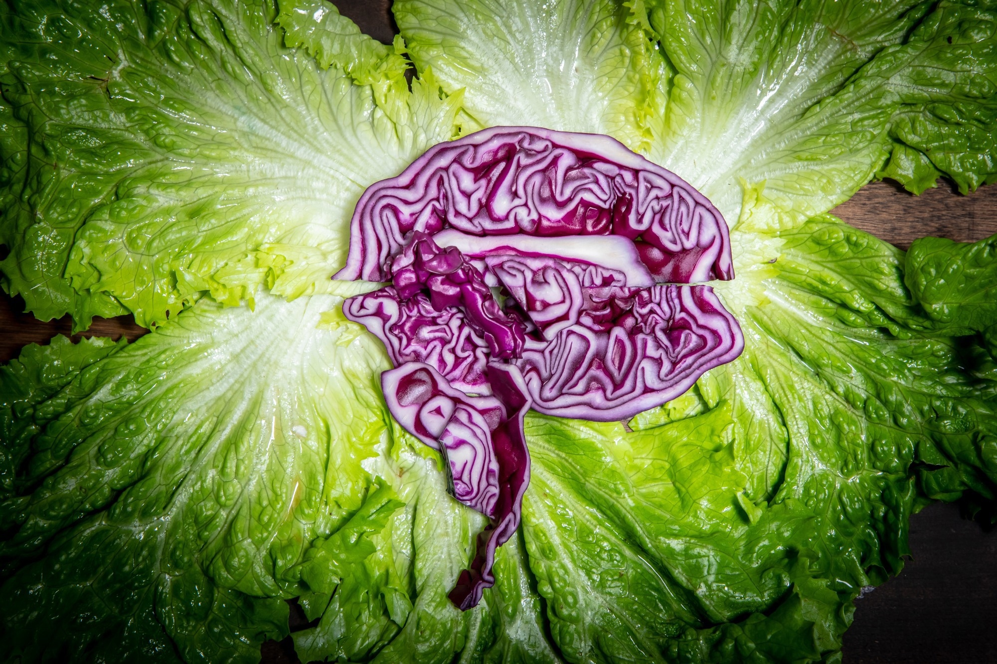 Study: Impact of Vegan and Vegetarian Diets on Neurological Health: A Critical Review. Image Credit: Johnathan Ball / Shutterstock