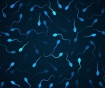 Low semen quality linked to shorter lifespan