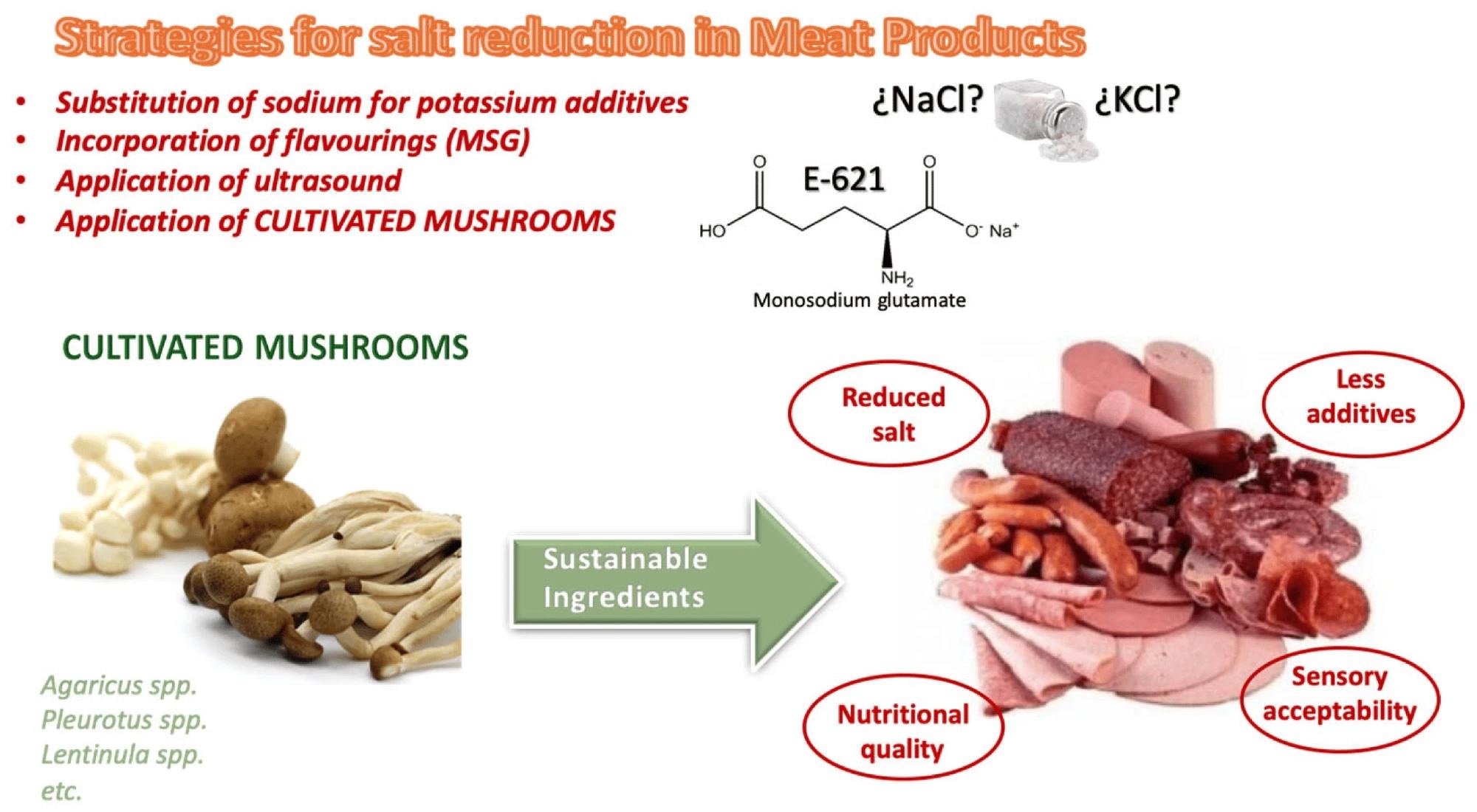 Strategies for salt reduction in meat products.