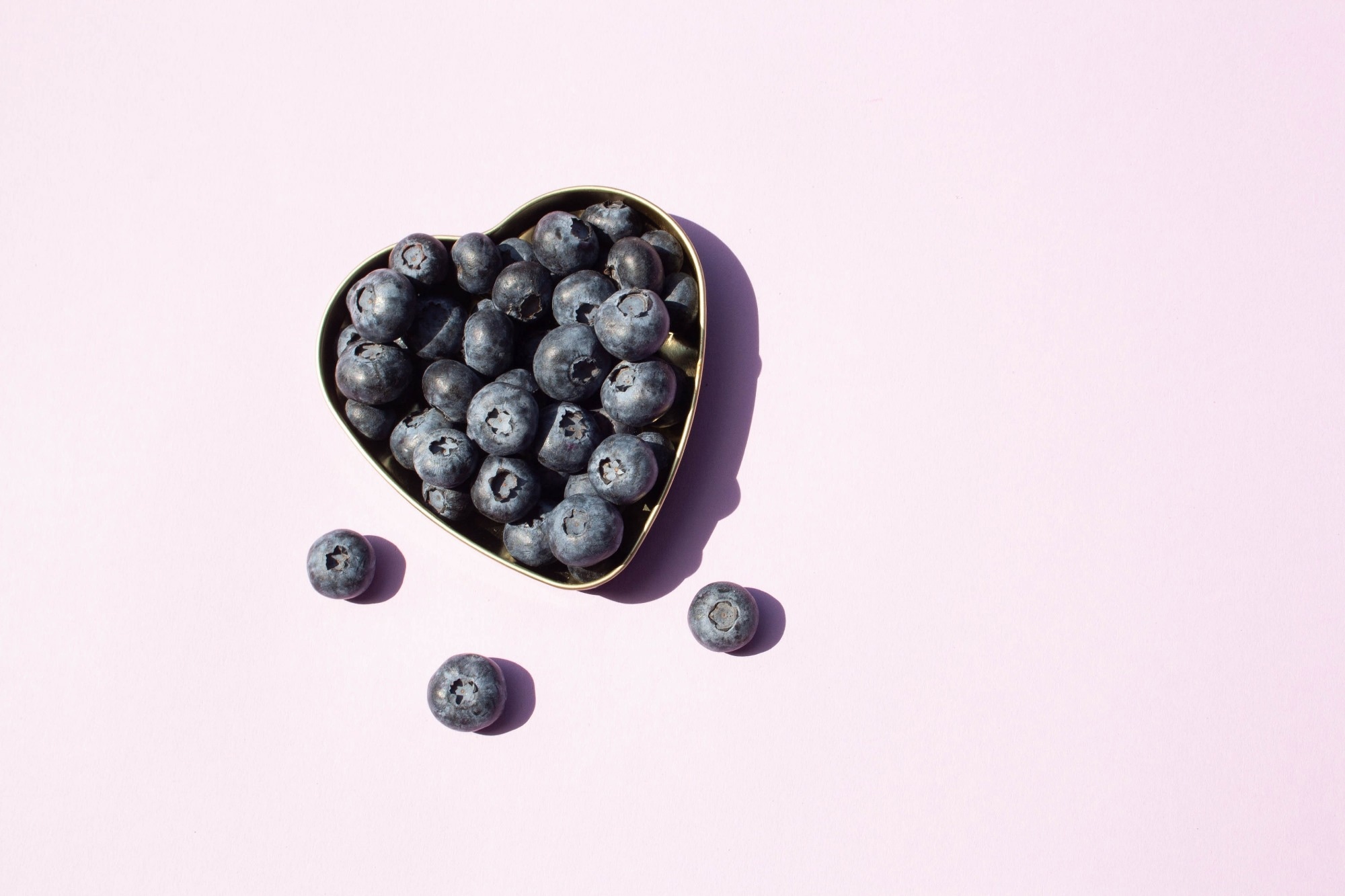 Study: Effects of Blueberry Consumption on Fecal Microbiome Composition and Circulating Metabolites, Lipids, and Lipoproteins in a Randomized Controlled Trial of Older Adults with Overweight or Obesity: The BEACTIVE Trial. Image Credit: Lucky Project / Shutterstock