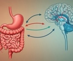 New study explores link between gut microbiome and autism spectrum disorder