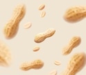 Peanuts pack a punch for youth: study finds cellular benefits