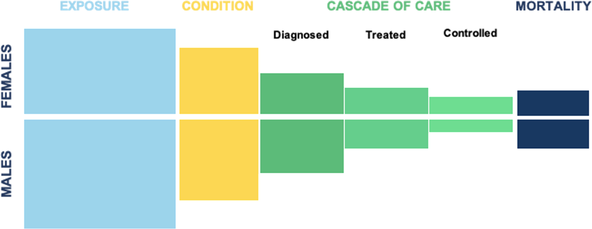 Illustration of the health pathway.
