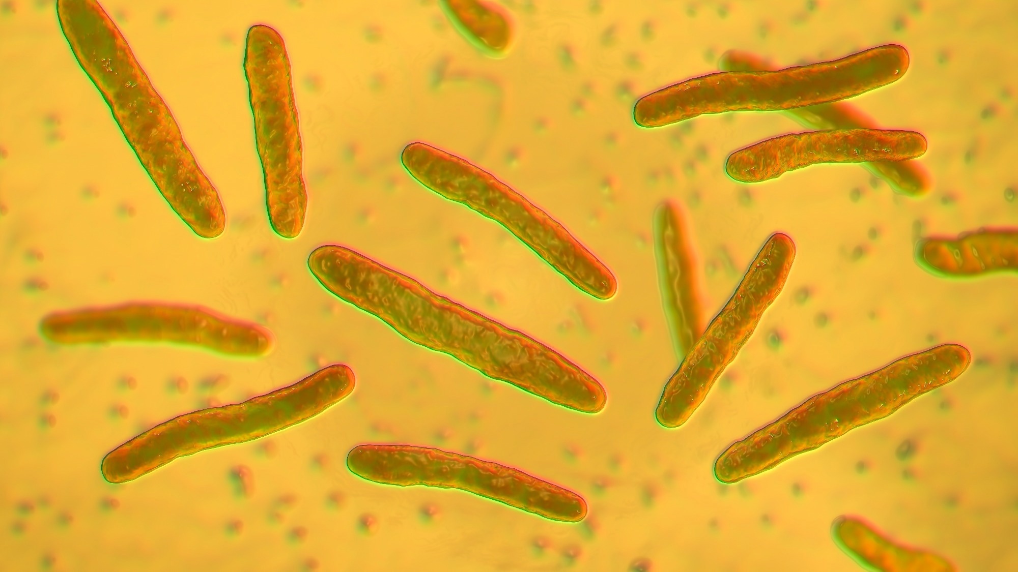 Study: Next-generation rifamycins for the treatment of mycobacterial infections. Image Credit: Kateryna Kon / Shutterstock