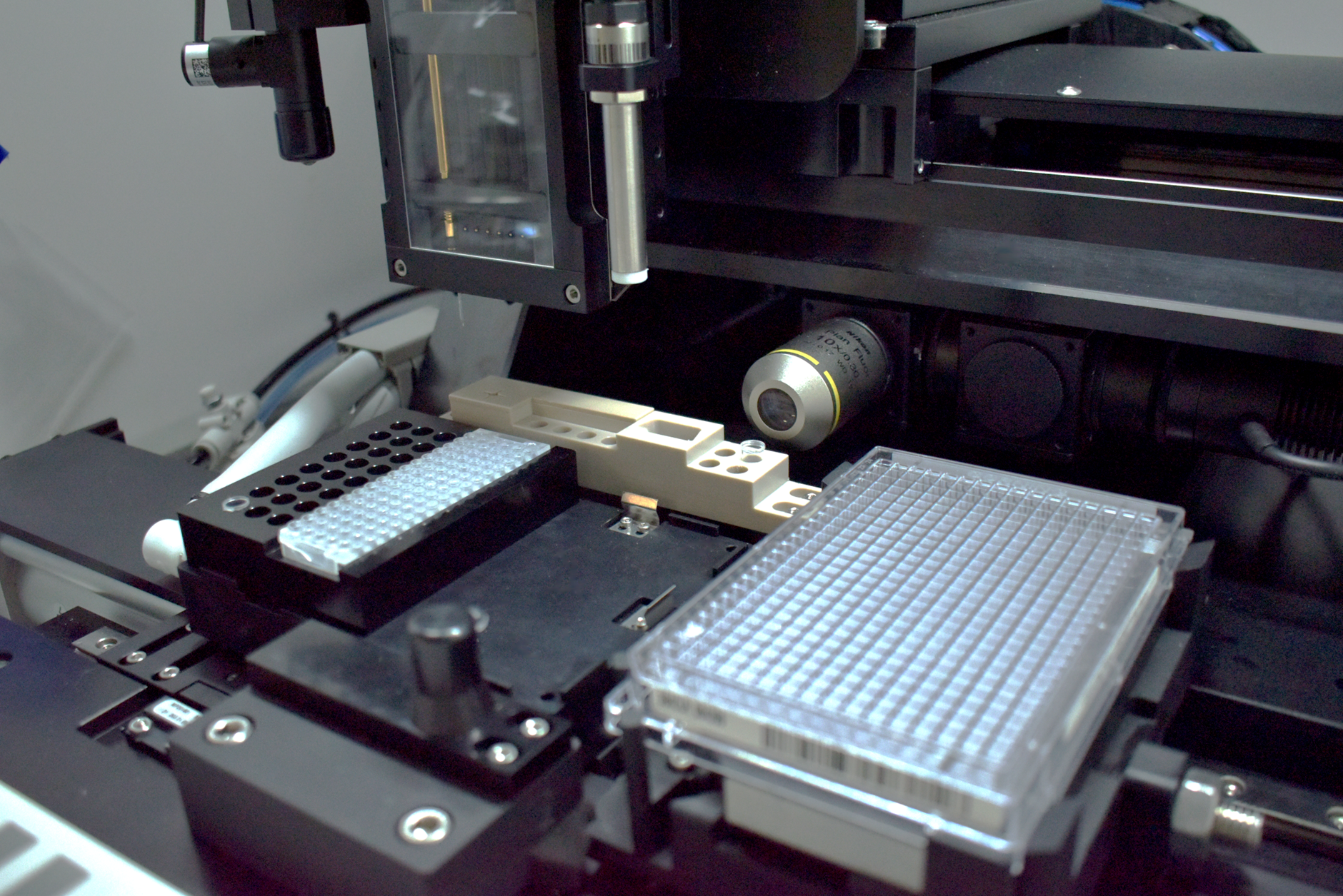 Scaling B-Cell cloning workflows for antibody development