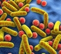 Experts chart path to bring microbiome science into routine clinical care