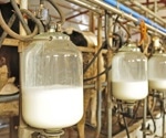 Researchers warn of bird flu survival in raw milk