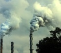 Scientists identify genetic clues linking air pollution to neurodegeneration