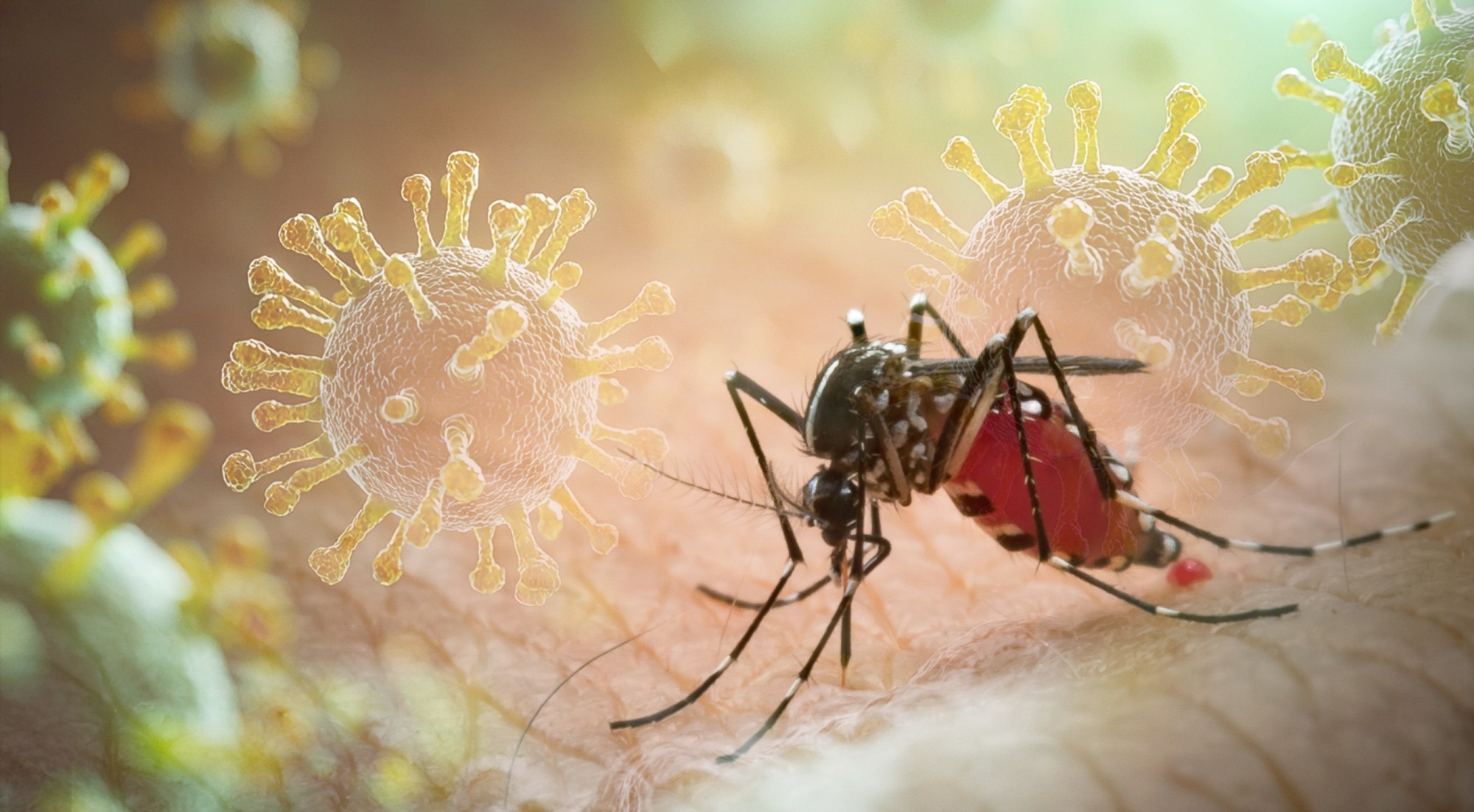 Study: Global burden of chikungunya virus infections and the potential benefit of vaccination campaigns. Image Credit: frank60 / Shutterstock